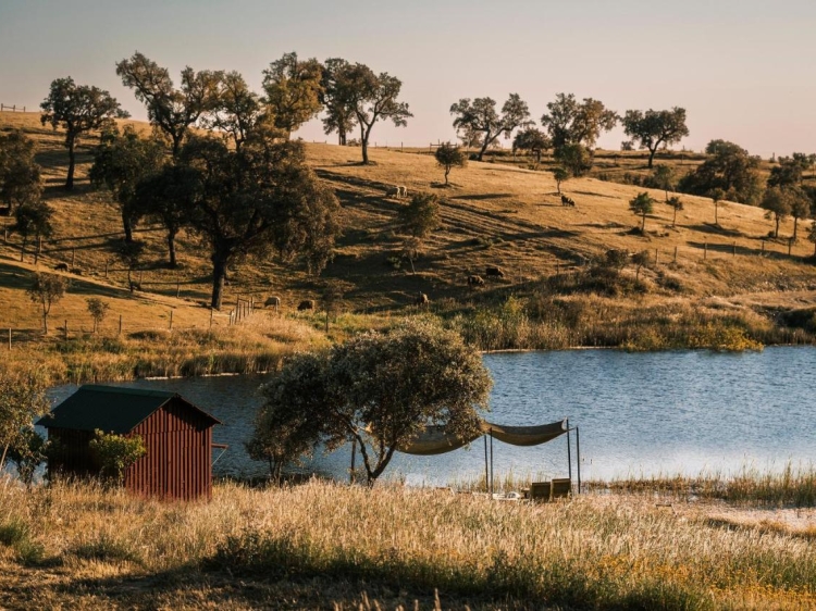 Cucumbi boutique b&b und wohnungen in alentejo Costa vicentina