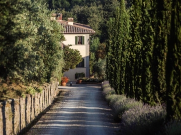 Dievole Wine Resort - Landhotel in Vagliagli, Toskana
